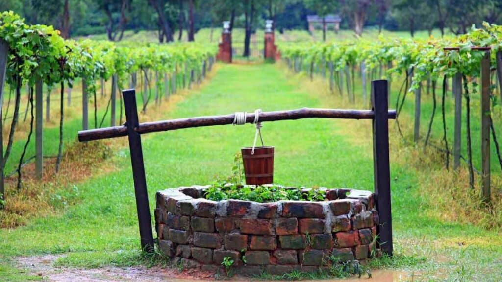 A well in the Garden