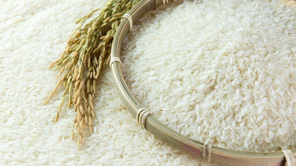 rice grain