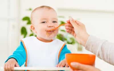 The Basic Guide to Making Homemade Baby Food