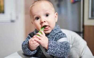 Mastering the Art of Mealtime: Best Baby-Led Weaning Recipes for a Healthy Transition