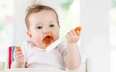 When Starting On Solids, Choose Bland, Easily-Digestible Food