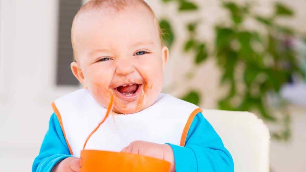 a-closer-look-at-else-baby-food-is-it-right-for-your-little-one