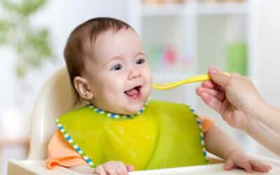Evaluating the Top 5 Plant-Based Baby Foods: A Closer Look at Ingredients and Nutritional Values