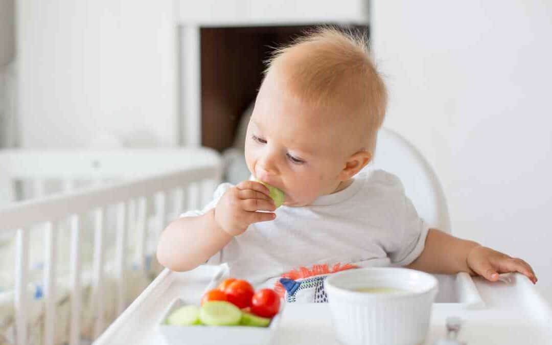 Solid Foods and Hydration