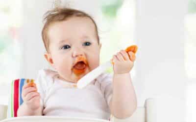 Transitioning to Solid Foods and Hydration