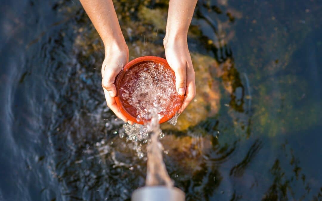 Understanding the Different Types of Water for Babies